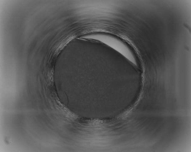 X0000099940785200806061517