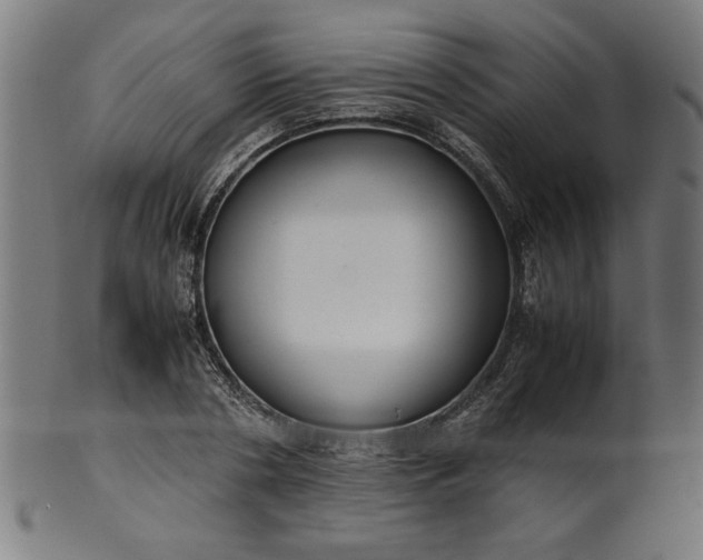 X0000099940786200806061517
