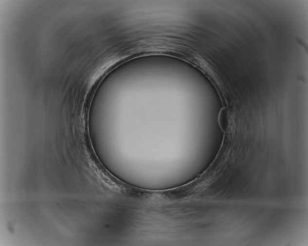 X0000099940787200806061517