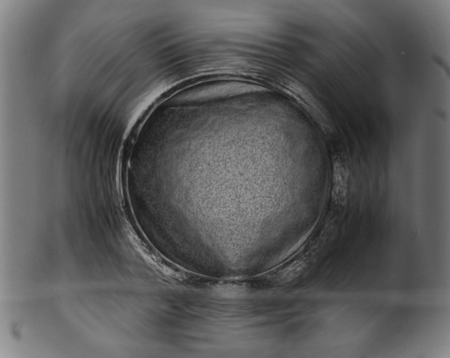 X0000099940788200806061517