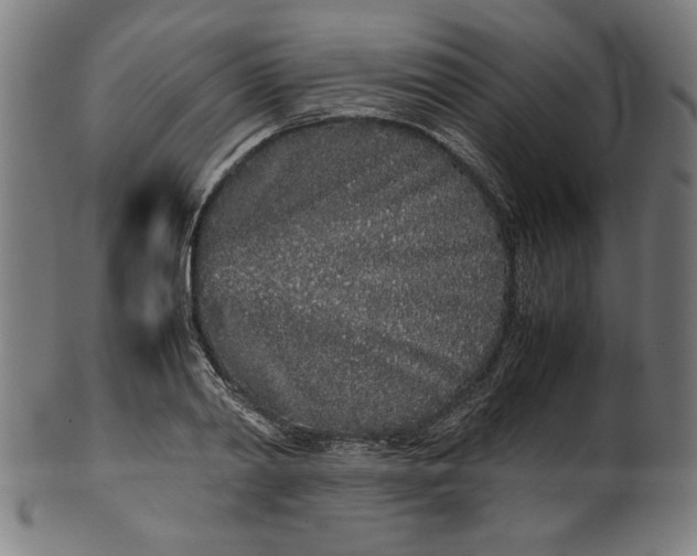 X0000099940790200806061517