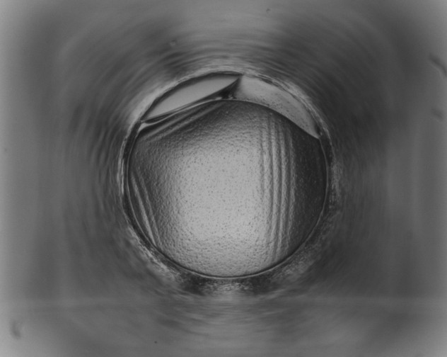 X0000099940791200806061517