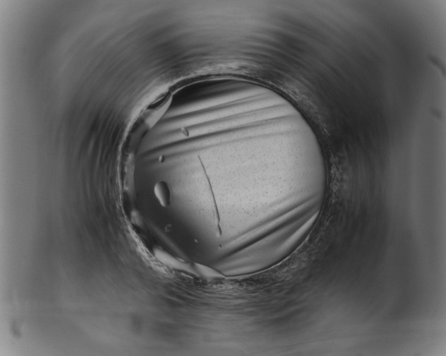 X0000099940792200806061517