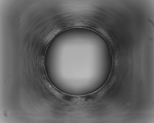X0000099940793200806061517
