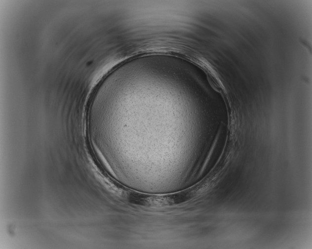 X0000099940795200806061517