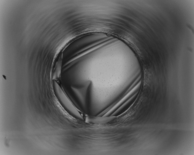 X0000099940796200806061517