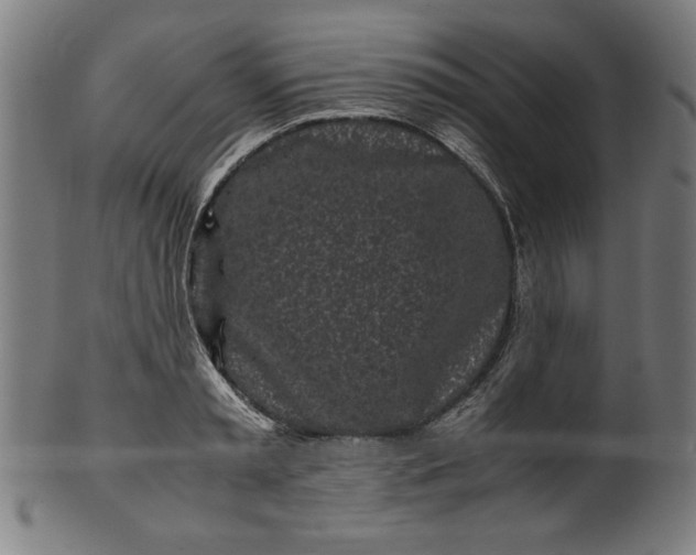 X0000099940797200806061517