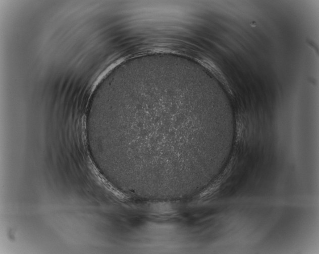 X0000099940798200806061517