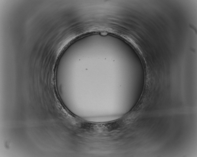 X0000099940799200806061517