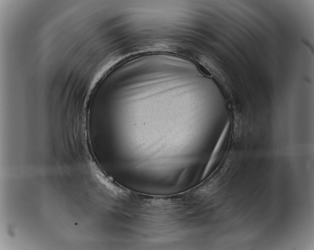 X0000099940800200806061517