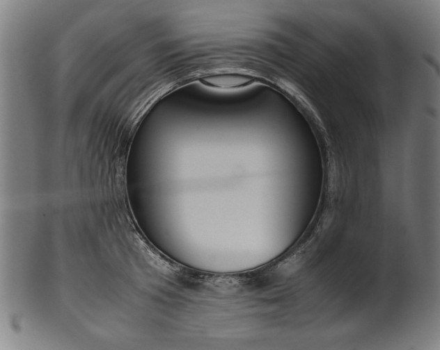 X0000099940801200806061517