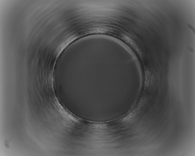 X0000099940802200806061517