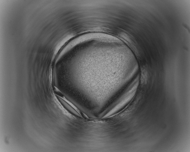 X0000099940804200806061517