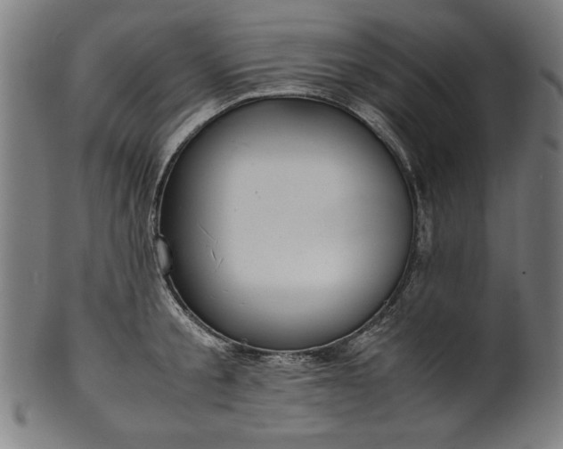 X0000099940805200806061517