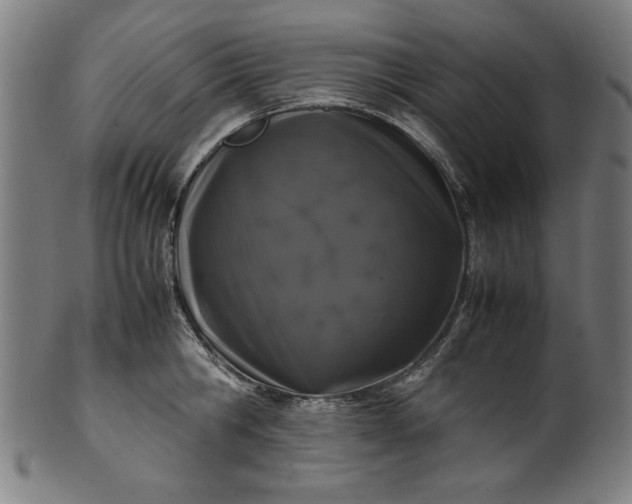 X0000099940806200806061517