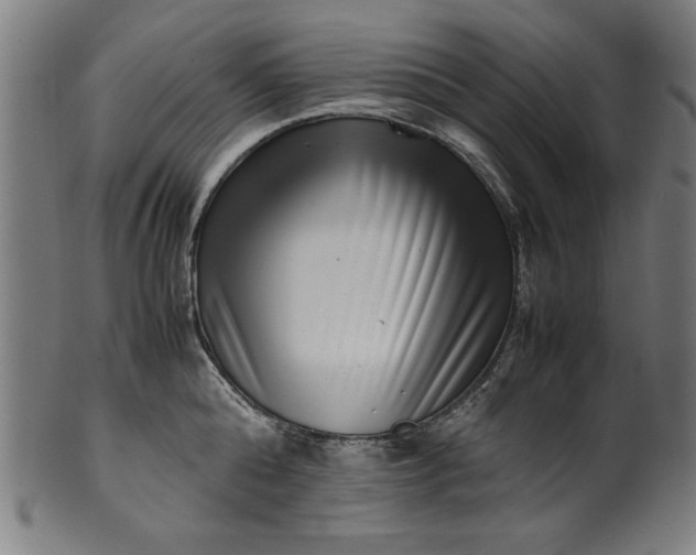X0000099940808200806061517