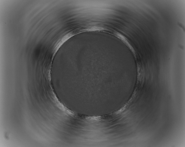 X0000099940810200806061517
