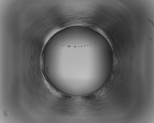 X0000099940811200806061516