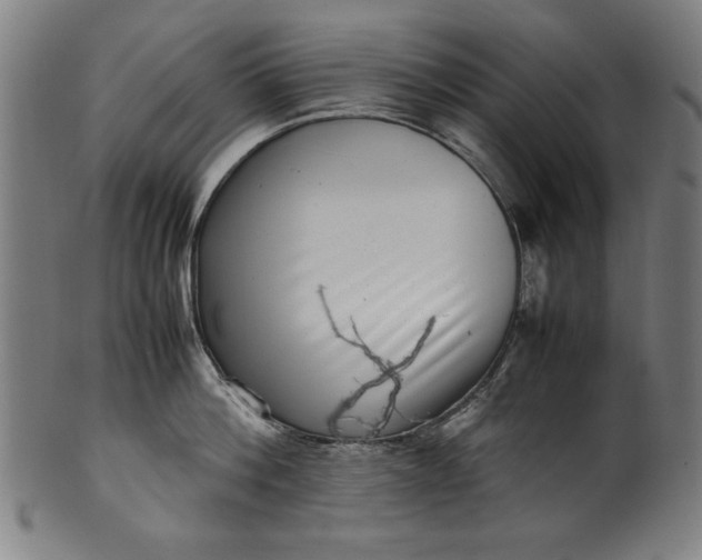 X0000099940812200806061516