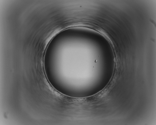 X0000099940813200806061516
