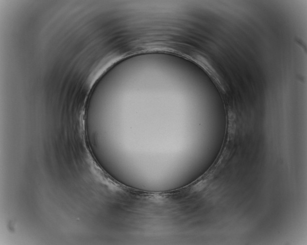 X0000099940814200806061516