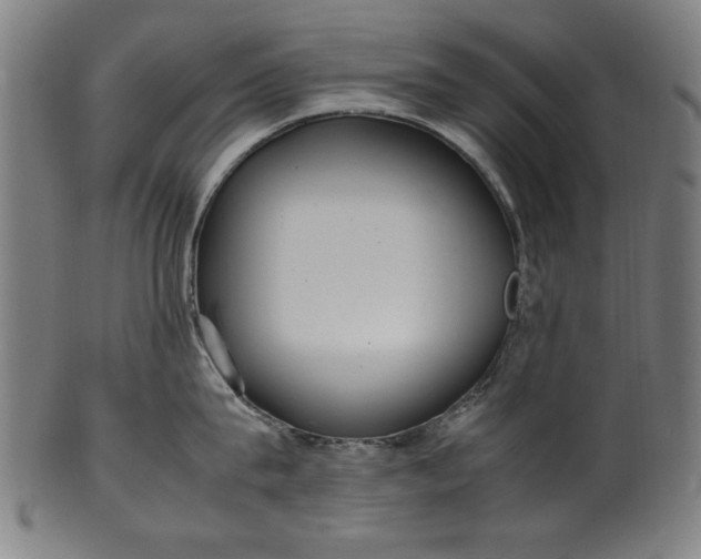 X0000099940815200806061516