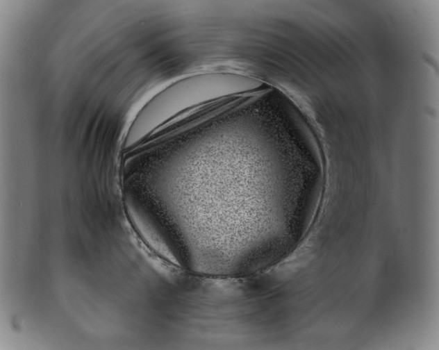 X0000099940816200806061516