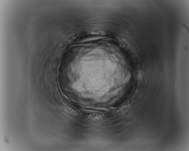 X0000099940817200806061516