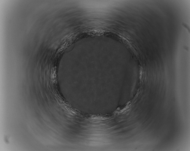X0000099940818200806061516