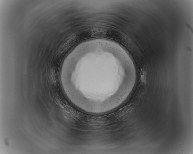 X0000099940819200806061516