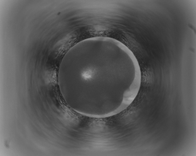 X0000099940820200806061516