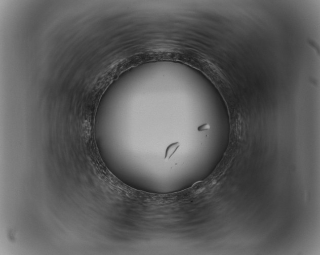 X0000099940821200806061516