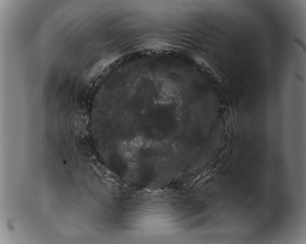 X0000099940822200806061516