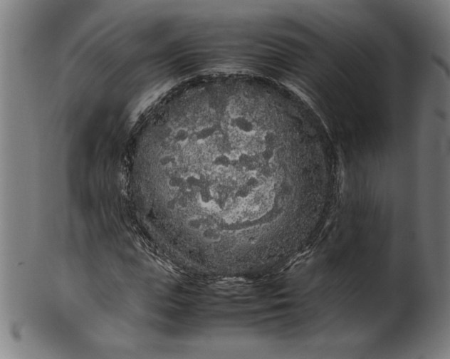 X0000099940823200806061516