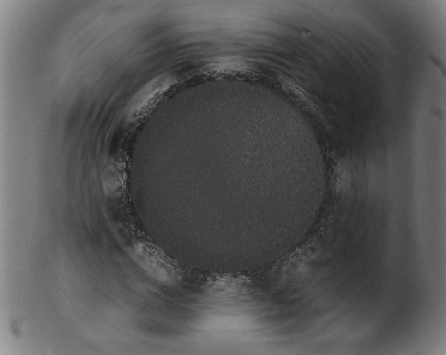 X0000099940824200806061516