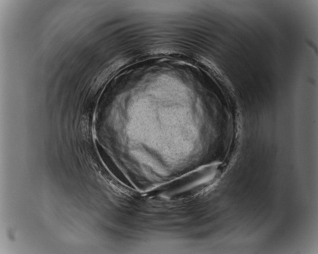 X0000099940825200806061516