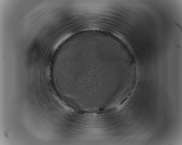 X0000099940826200806061516
