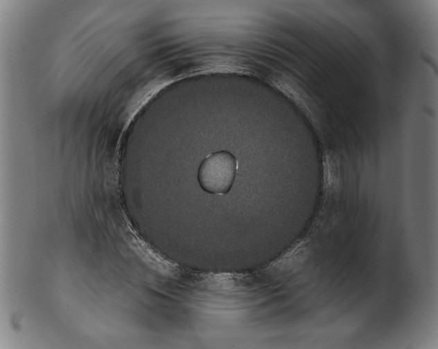 X0000099940828200806061516