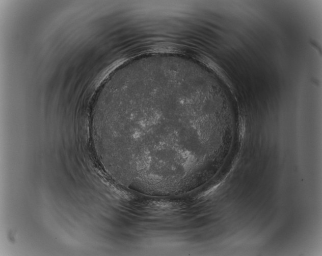 X0000099940829200806061516