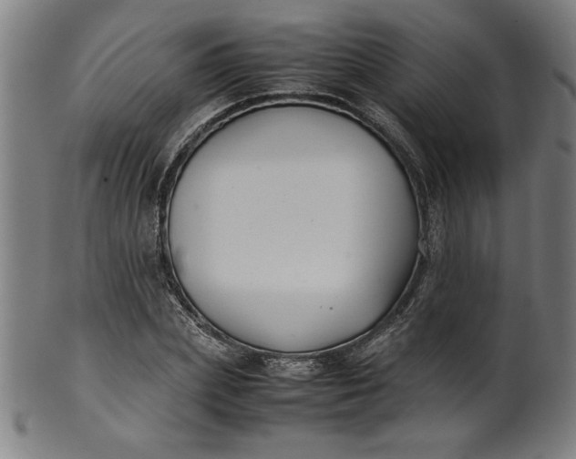 X0000099940831200806061516