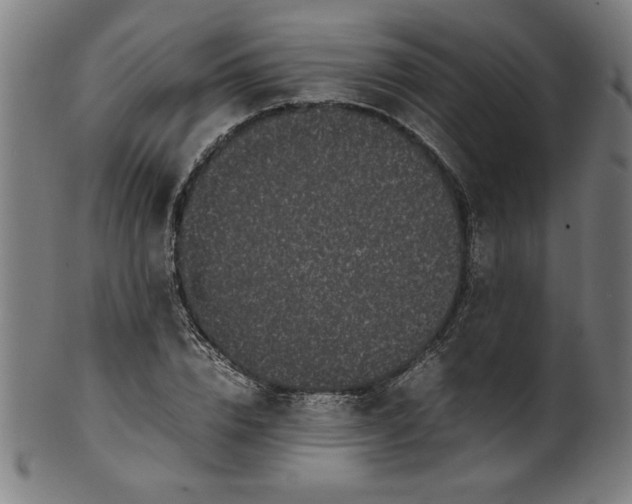 X0000099940832200806061516