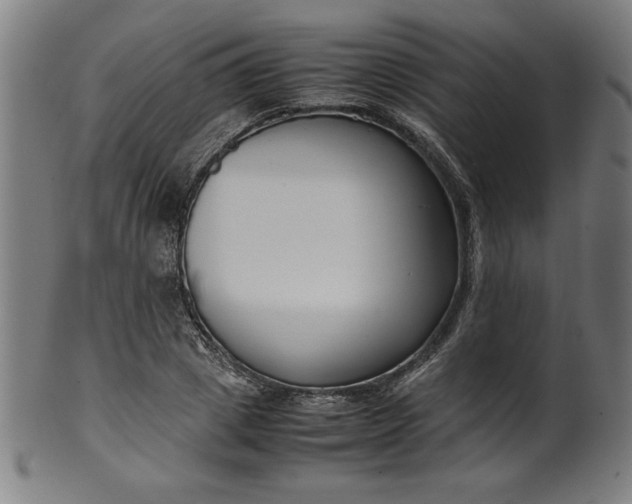 X0000099940833200806061516