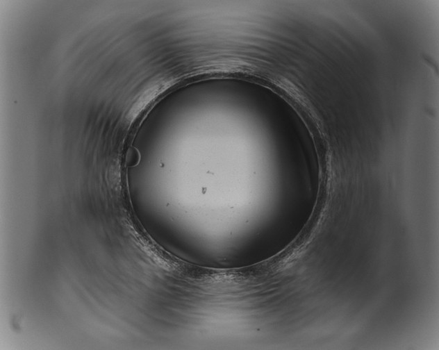 X0000099940834200806061516