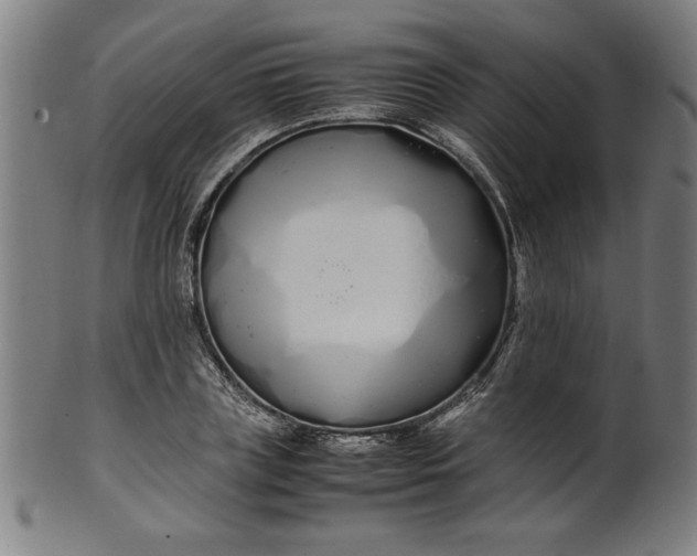 X0000099940835200806061516