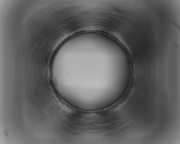 X0000099940837200806061516