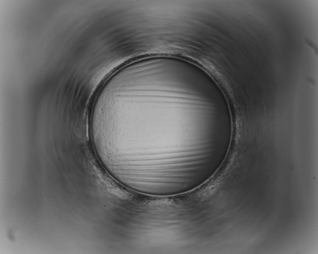 X0000099940838200806061516