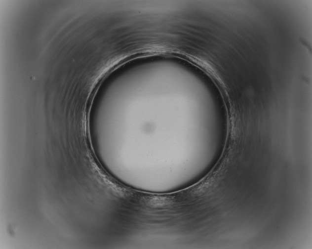 X0000099940839200806061516