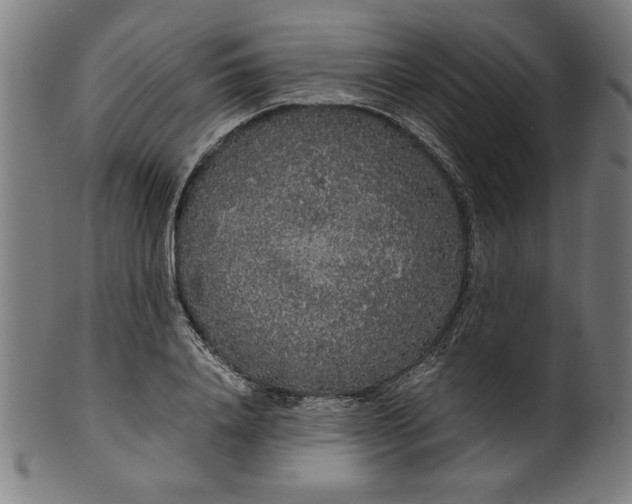 X0000099940840200806061516
