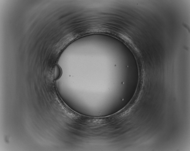 X0000099940841200806061516