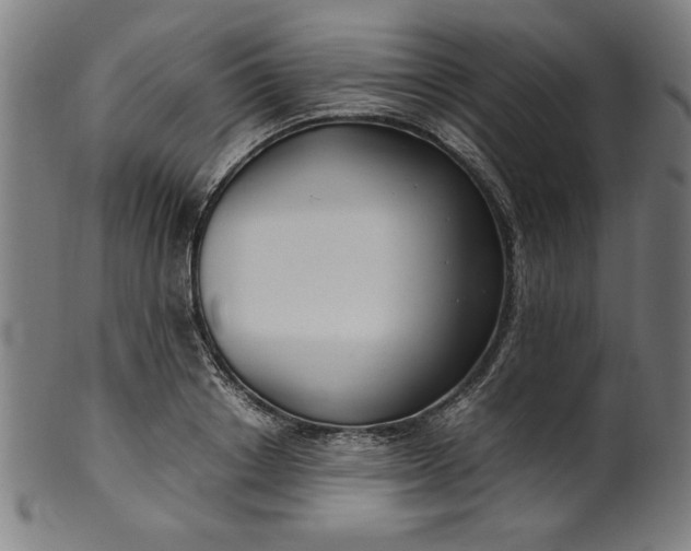 X0000099940842200806061516